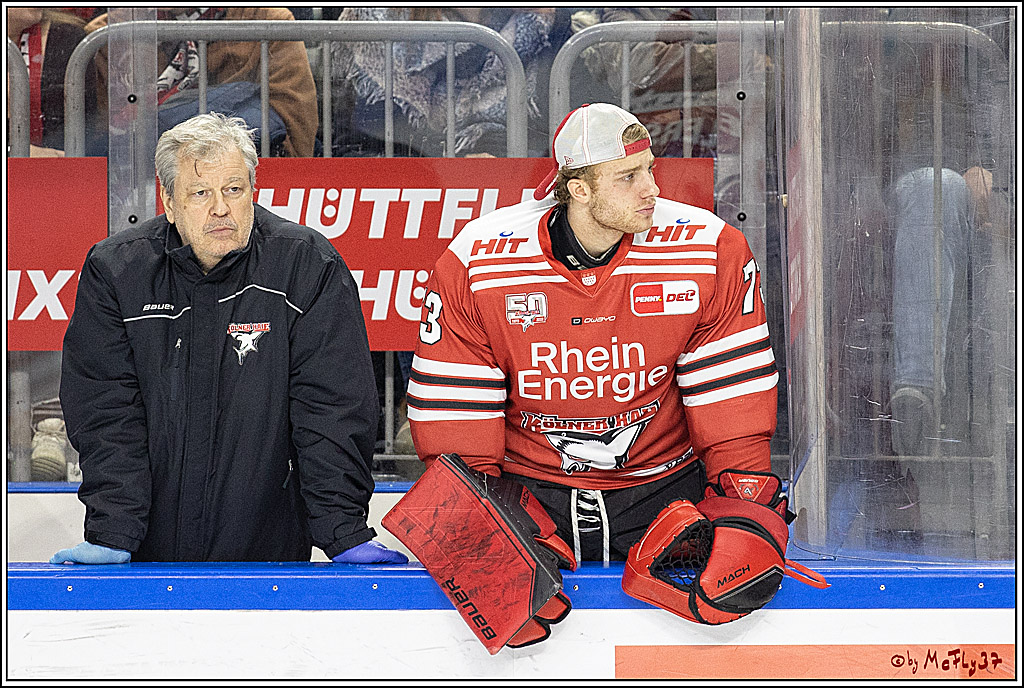 PENNY DEL;  Kölner Haie - Augsburger Panther; Köln, 20.12.2022